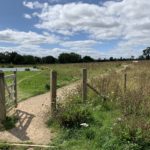 Photo of a gateway leading into a meadow. A surfaced path leads out across the meadow and a smaller path heads to the pond.