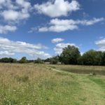 Photo of a view across a meadow to a new pond that's been created.