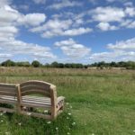 Photo of a new wooden bench looking out across a meadow. Blue sky with fluffy white clouds.