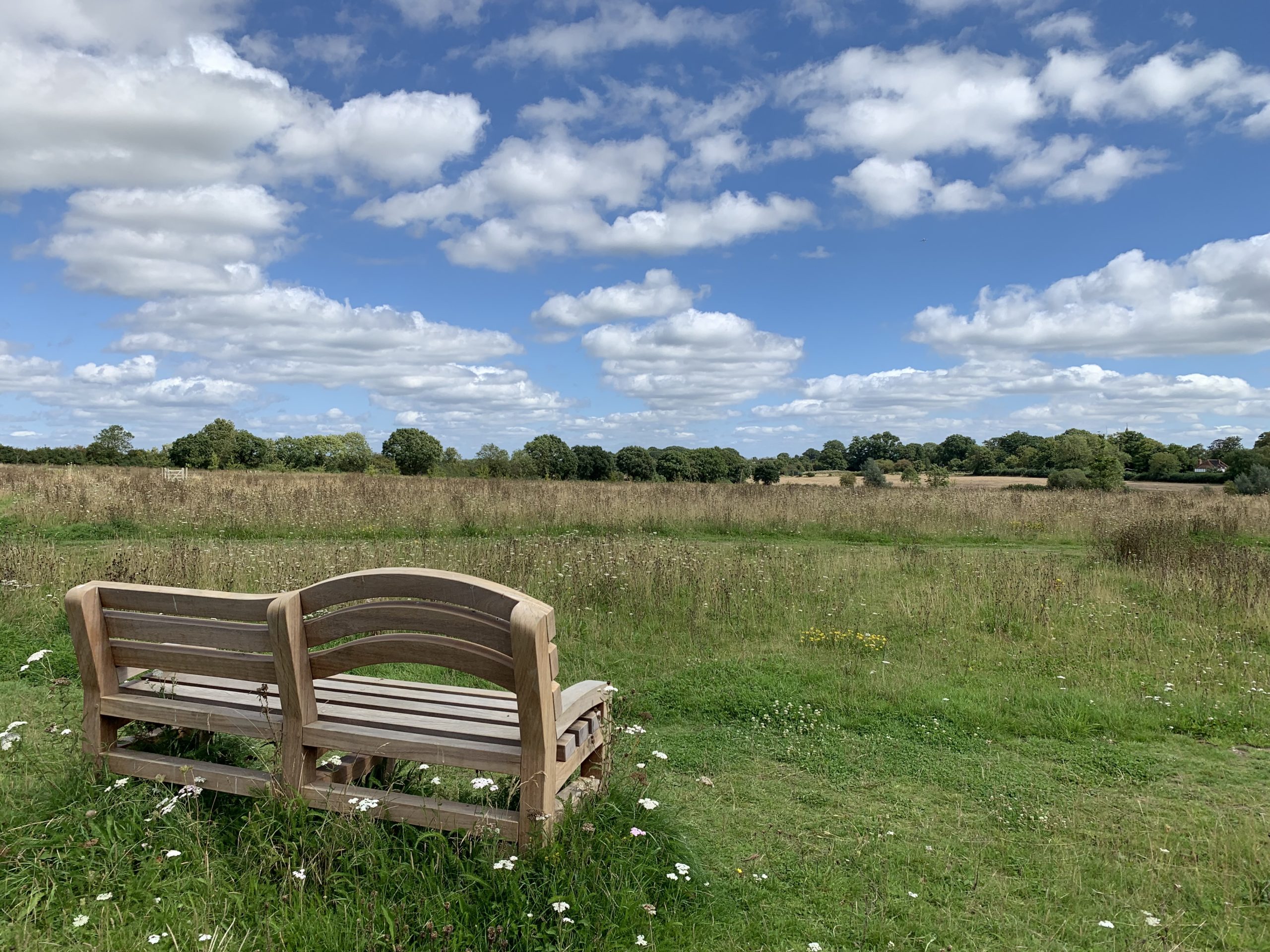 Photo of a new wooden bench looking out across a meadow. Blue sky with fluffy white clouds.