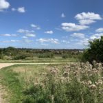 Photo taken at the top of the hill showing the view out across Bracknell and the surrounding area. Thistles have gone to seed in the foreground.