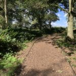 Photo of a path leading through a small area of woodland.