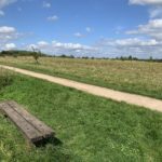 Photo of a summer meadow, with a low bench looking out over the cut meadow.