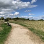 Photo of a late summer meadow that has been cut for hay. A wide gravel path leads the way and two benches look out over the scene.