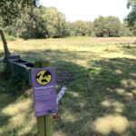 Photo of an open area of heath. A water trough is visible and a sign in the foreground explains that this is a "Grazing Area".