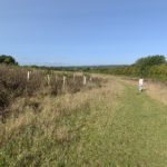 Photo taken on a hillside meadow. People walk on a path that's been mown.