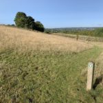 Photo taken on a hillside meadow. A post in the foreground shows that the way is marked with arrows - green discs on short posts.