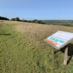 Photo of rolling meadow in late summer. Information board in the foreground to help visitors enjoy the view.