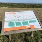 Photo of rolling meadow in late summer. Information board in the foreground to help visitors enjoy the view.