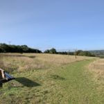 Photo taken on a hillside meadsow. Grassy paths have been mown through longer grass. A bench looks out.