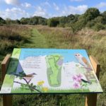 Photo of a colourful interpretation board showing a map and wildlife at a water meadow