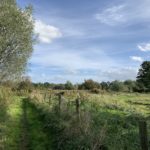 Photo of a rough green meadow. A fenced path runs along the edge of the meadow.