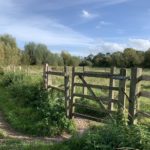 Photo looking over a gateway and out across a green meadow flanked with trees.