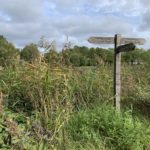 Photo shows tall vegetation beside the lake. A finger post points to "Northern Lake Circular Route" and "Car Park & Mytchett Road".