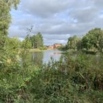 Attractive photo shows the viw across the lake, surrounded by mature trees. Houses in the distance.