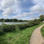 Photo shows the attractive scene near the entrance to the walk at Water's Edge. A gravel track runs along the edge of the lake. Brambles grown on the edge of the water. A fence separates the houses from the path.