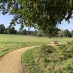 Photo of the view from the edge of the woodland, out across the parkland