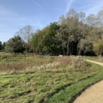 Photo of the view across the parkland, with a wildlife pond in the foreground