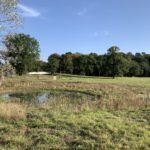 Photo of the view across the parkland, with a wildlife pond in the foreground