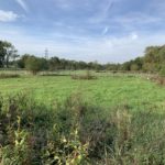 Photo taken looking across the attractive meadow. You can see the wooden boardwalk and trees beyond, also a pylon.