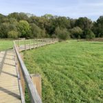Photo of a wooden boardwalk running across a green meadow with trees beyond.