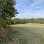 Photo looking across the slopes of a green knoll to woodland beyond.