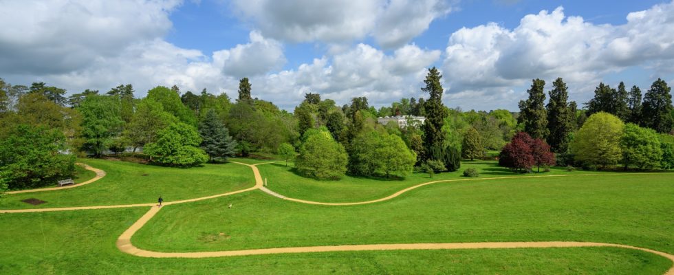 Photograph of a grassland park, criss crossed with surfaced paths. Trees flank the far slopes and large mansion house is just visible.