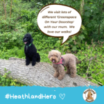 Poldy & Bug say "We visit lots of different 'Greenspace on your doorstep' with our mum. We love our walks!"
