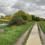 Photo of part of the surfaec path at Shepherd Meadows after heavy rain - it looks quite wet! but is passable!