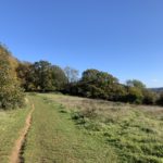 Autumnal photograph looking across the downs to views of distant countryside.