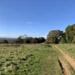 Autumnal photograph looking across the downs to views of distant countryside.