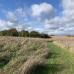 Autumnal photograph of a grassy path through a meadow. A high acoustic fence runs along the end.