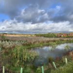 Autumnal panoramic photograph, with a pond in the foreground and a meadow beyond. Dramatic sky turning grey.