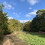 Photo showing a rough path and traffic cones placed across. Think woodland either side and blue sky beyond.