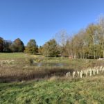 Photo of the view across the parkland, with a wildlife pond in the foreground