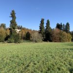 Photo of a landscaped parkland with a glimpse of a white mansion hose on the horizon