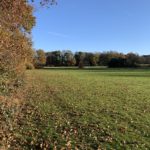 Photo shows a large flat sports field, with goal posts in the distance.