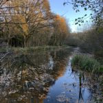 Autumnal photo looking down the Canal. Leaves float prettily on the water.