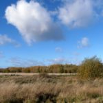 Lovely autumnal photo of a view looking over a meadow with blue sky behind..