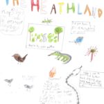 Colourful poster hand drawn by a schoolchild depicting heathland animals