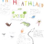 Colourful poster hand drawn by a schoolchild depicting heathland animals