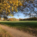 Autumnal photo of a surfaced path along the edge of an area of grassland.