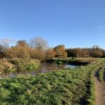 Photo of a riverside path on the edge of a large meadow.