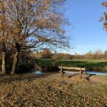 Autumnal photo wooden bench looking out across the River Blackwater.