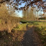 Autumnal photo of a path along the side of the River Blackwater. Warm evening light.