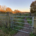 Autumnal photo of a path through a metal gateway that goes into a rough meadow. Warm evening light.