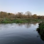 Photo of the River Blackwater in wintery light.