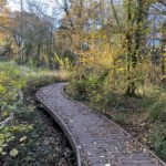 Autumnal photo of a woodland with a boardwalk built to take visitors over a wet patch.