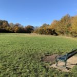 Photo of a large grassland space. A bench sits in the foreground.