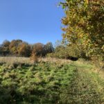 Photo looking down a path on the edge of a meadow. Autumnal trees hang attactively oveer the path.